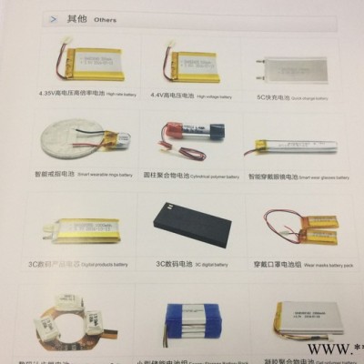聚合物鋰電池其他