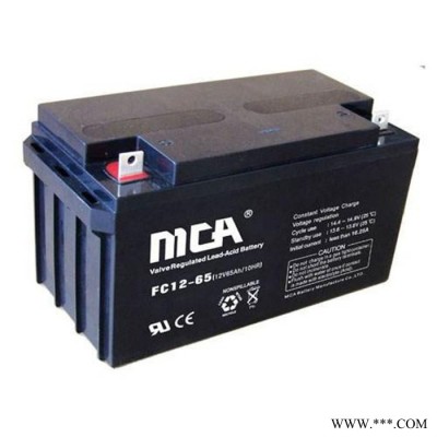 銳牌MCA蓄電池FC12-120中商國通蓄電池12V120AH光伏發電UPS蓄電池直流屏EPS蓄電池 機房配電室蓄電池