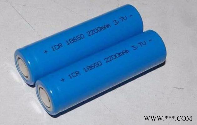 施耐德Tsx172X鋰電池