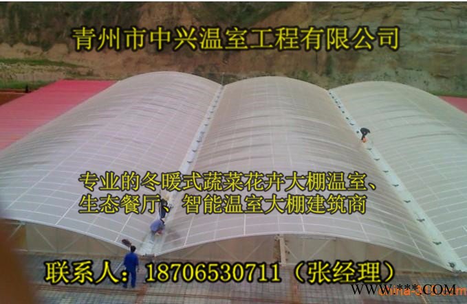 （中興zx1光伏溫室）長(zhǎng)治花卉種植溫室、河南商洛光伏溫室大棚
