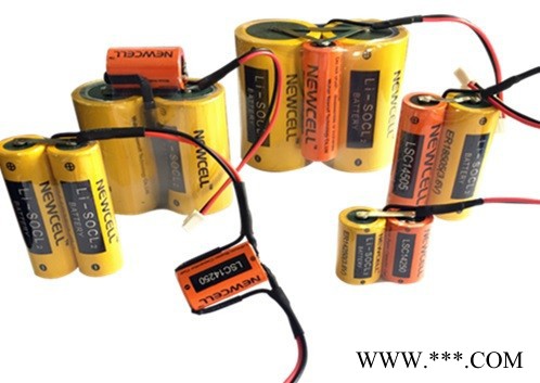 NEWCELLER26500 鋰電池 3.6V 流量表計量表電池 煤氣表電池 可配插頭