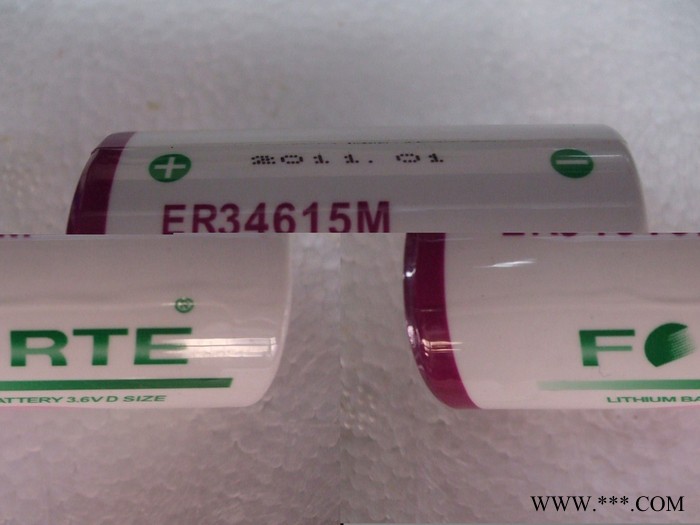 Forte 高容量 3.6V鋰電池ER34615M  D型  SIZE