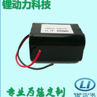 鋰動(dòng)力專業(yè)生產(chǎn)戶外照明燈具鋰電池12v4000mah 可用于釣魚燈防爆燈等便攜照明燈具