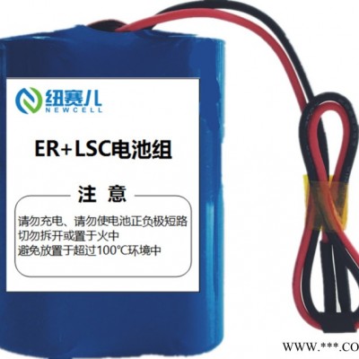 Newcell 超級復(fù)合電容 充電鋰電池 LSC14250 3.6V 全密封 瞬時大電流長壽命  物聯(lián)網(wǎng)電池  智能儀表