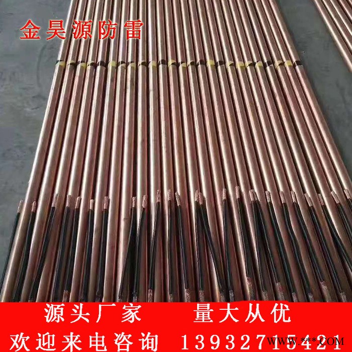 光伏基礎用ECR-300垂直緩釋防腐型電解離子接地極銅包鋼接地棒工廠直接發貨