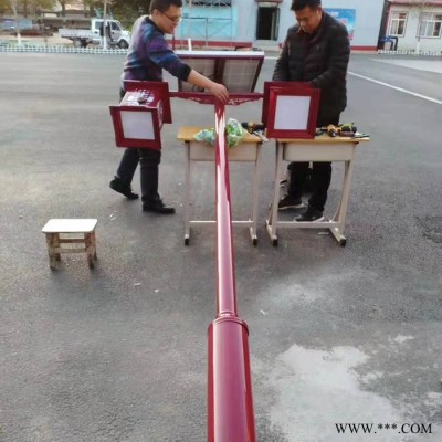 極之光保定3米4米5米led太陽(yáng)能路燈控制器