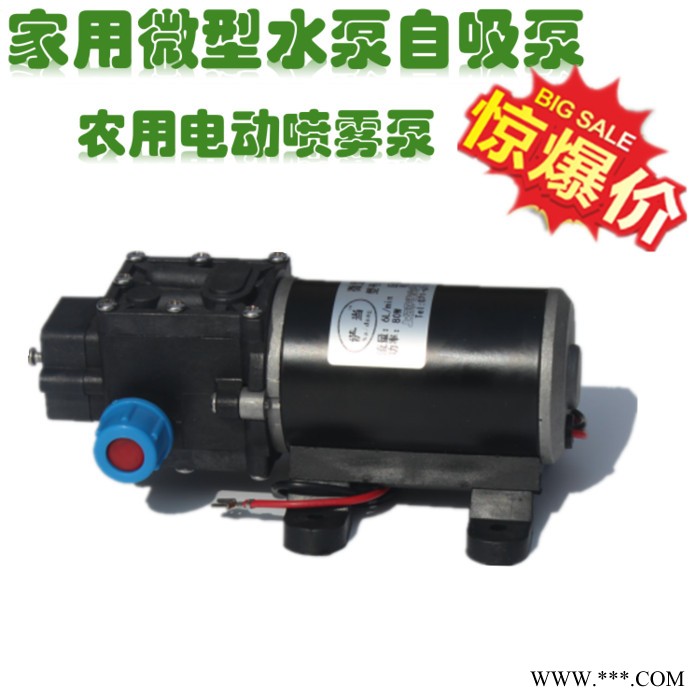 24V微型增壓泵家用熱水器自吸抽水水泵太陽能直流高壓隔膜泵