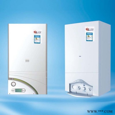 冀能  壁掛爐 地暖燃氣壁掛爐 壁掛式燃氣爐 家用燃氣鍋爐 供暖電壁掛爐 壁掛爐熱水器