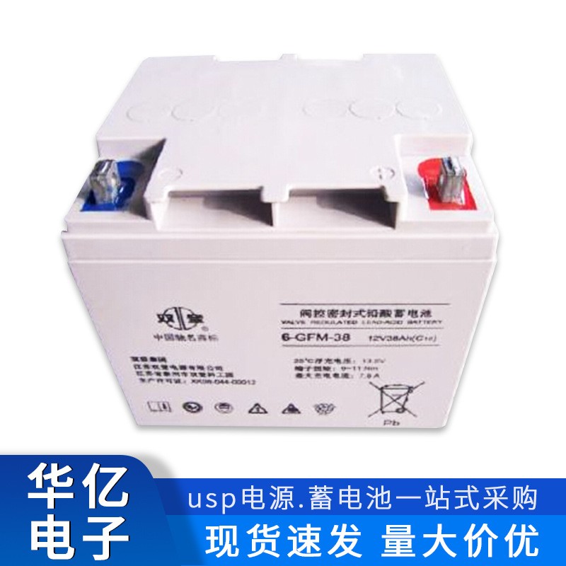 雙登蓄電池12v100AH免維護鉛酸蓄電池6-GFM-100通訊UPS/EPS直流屏