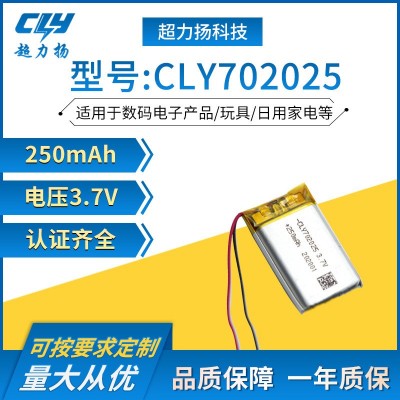 702025聚合物鋰電池250mAh鋰電池3.7V鋰電池 醫療電池 數碼鋰電池