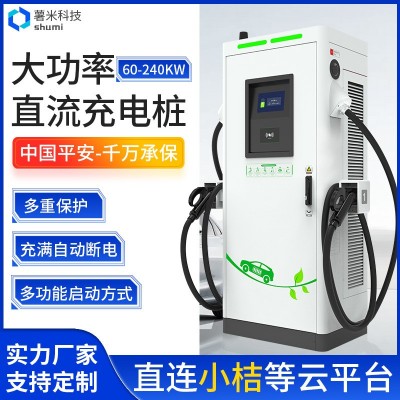 商用新能源電動汽車快充直流充電樁刷卡掃碼充電站