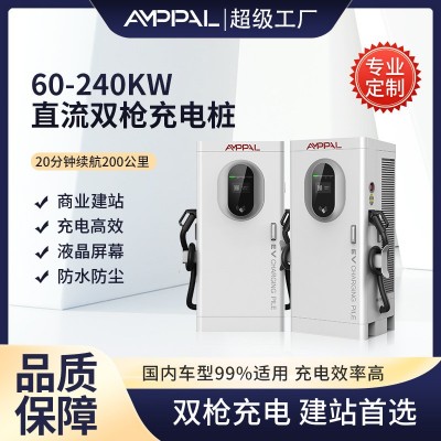 充電樁歐標DC直流新能源汽車充電樁充電站雙槍戶外可
