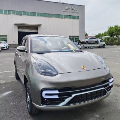 低速電動(dòng)轎車新能源老年人代步車全封閉成人四輪電動(dòng)車