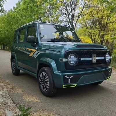 家用成人老年代步車新能源全封閉油電兩用轎車新款坦克電動四輪車