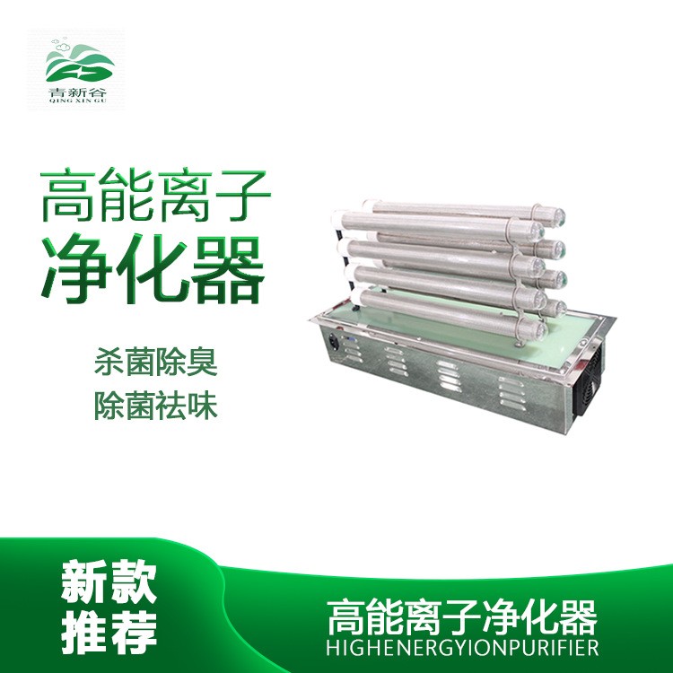 新智能工業(yè)處理高能離子管空氣凈化器 廠家直銷除臭殺菌專用設(shè)備