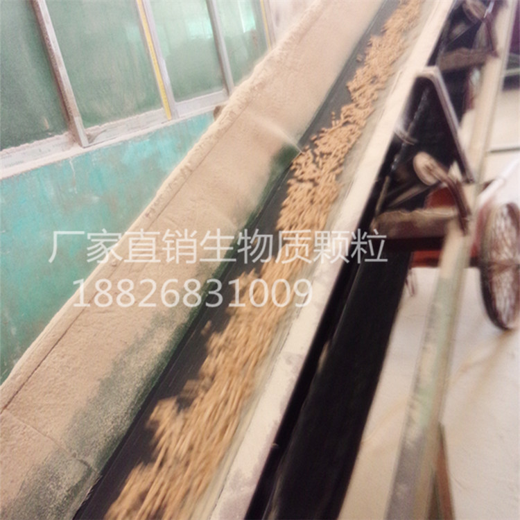 白顆粒主圖05有字