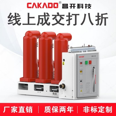 廠家直銷VS1-12側裝式真空斷路器 質保兩年