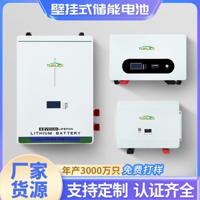 壁掛式儲(chǔ)能鋰電池 51.2V48V200AH太陽能儲(chǔ)能電池磷酸鐵鋰戶外電源