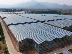 河北秦皇島：清潔能源裝機(jī)并網(wǎng)容量占比超57%