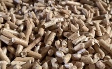 生物質(zhì)燃料顆粒項(xiàng)目 支撐綠色低碳發(fā)展#木屑顆粒機(jī)#生物質(zhì)顆粒機(jī)#木屑鋸末造粒機(jī)廠家設(shè)備